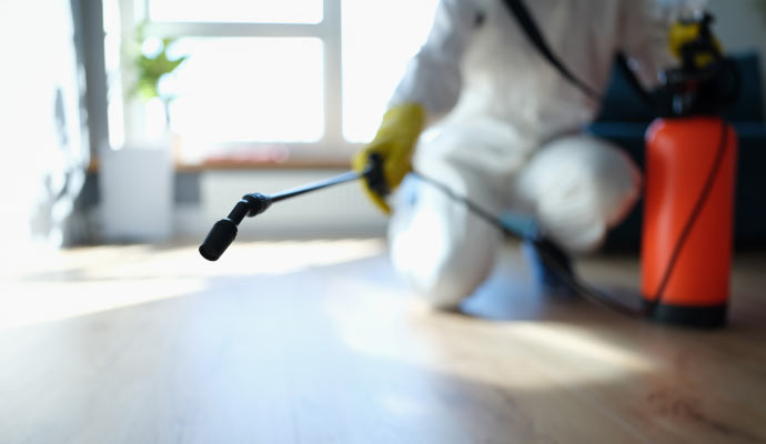 Professional cleaning rodent infestation floor.