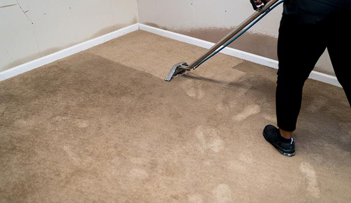 Professional carpet cleaning