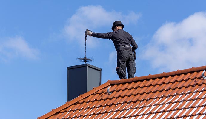 Professional chimney inspection