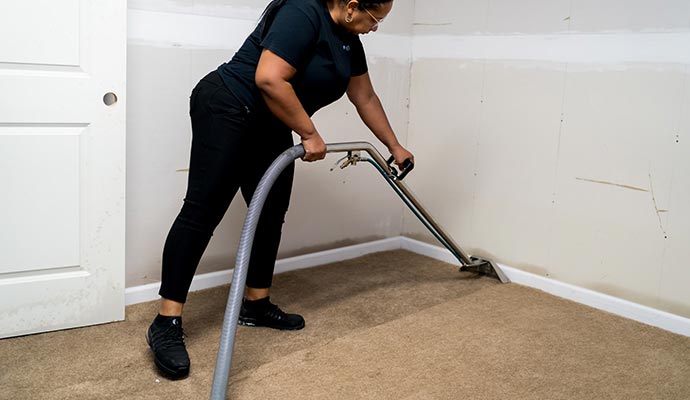 Professional carpet cleaning