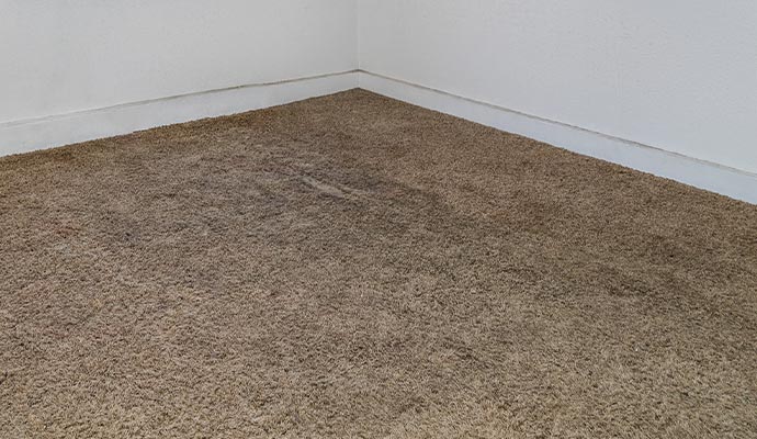 Visible dirt on the carpet