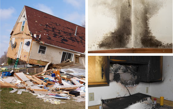 collage of storm mold fire damage restoration