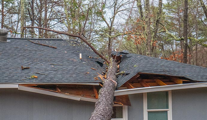 Storm damaged property