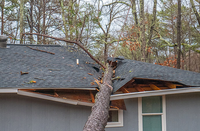 a roof damaged by a tree broken because of a storm