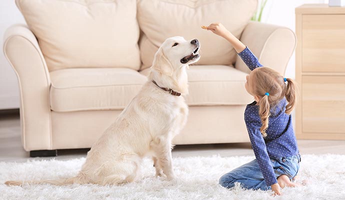 children playing with pet on the carpet