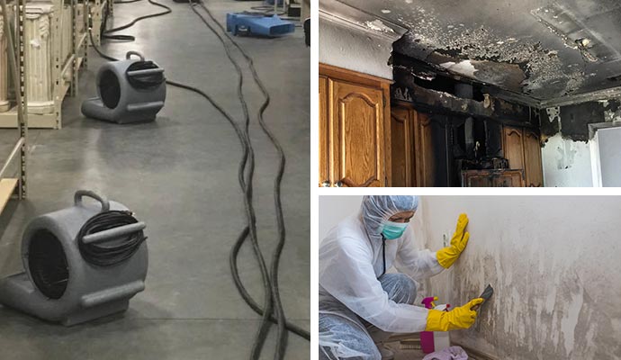 collage of professional water, fire and mold restoration