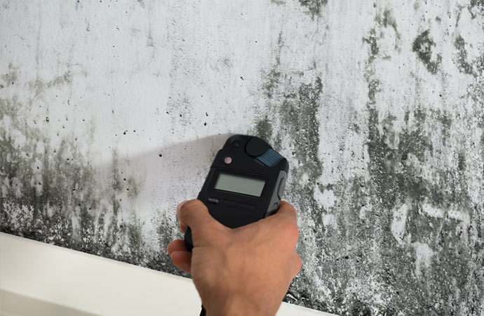 Mold Testing in Houston & The Woodlands