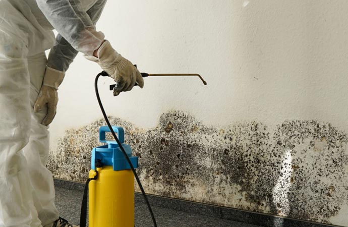 Person in protective coveralls treating a moldy wall with a spray tool