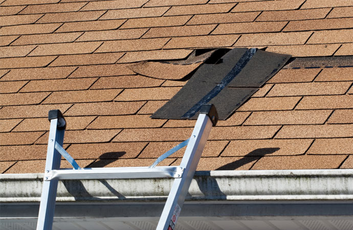 Damaged roof with exposed underlayment and ladder