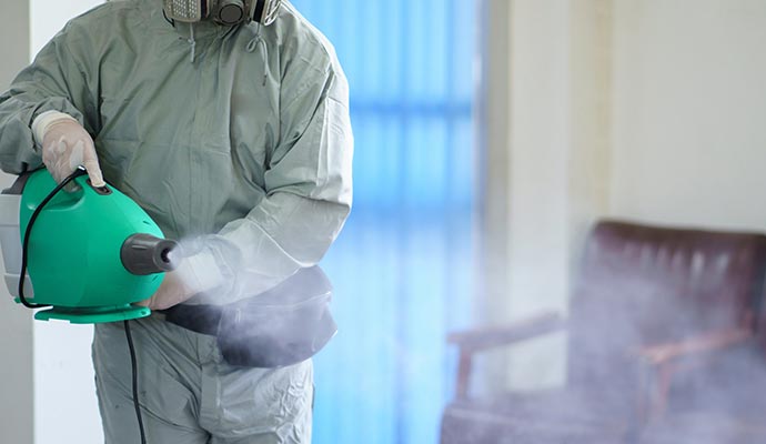 Professional smoke odor removal