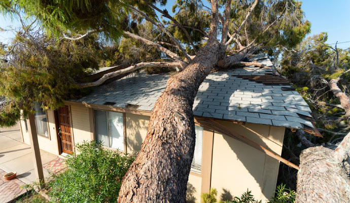 A large tree has fallen onto the roof of the house.