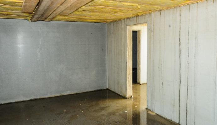 Interior view of a basement with flood damage