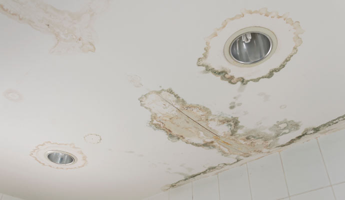 Water damaged ceiling