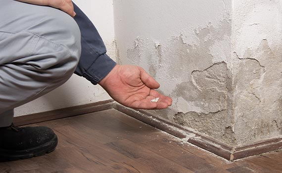 a person inspecting water damage