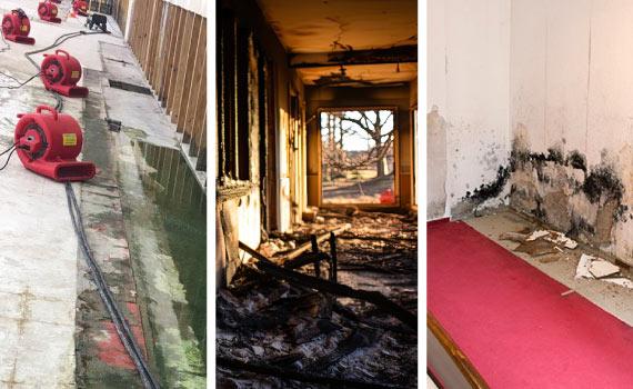 Water, fire and mold damage